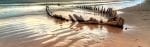Safari i Hoanib Valley & Skeleton Coast