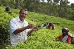 Dag 3: Andrew-Taylor-tea-planter-in-residence1