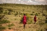 Walking safari: Eagle Viewwalking safari