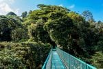 Dag 6. Hanging Bridges: Hanging Bridges in Cloudforest – Costa Rica
