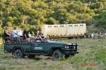 Projekter du vil arbejde med: Kariega-volunteers-elephant-release-Sept2014