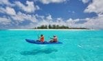 Bird Island aktiviteter: Kayaking-around-the-island