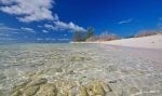 Bird Island omgivning: Low-tide-on-the-reefward-coast