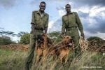 Andre aktiviteter: Snifferdogs02-1030×687