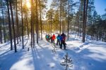 Day 6 Gentle Snowshoeing & Aurora Snow shoeing: Snowshoeing Finland
