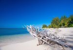 Denis Island, Seychellerna