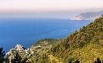 Dag 5. : cinque-terre-vineyards-small