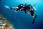Baraza Resort & Spa: diving2