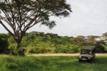 Eagle View Camp i Mara Naboisho: eagle-view-mara-naboisho-15-1000×667