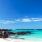 Cruise 1 week Galapagos Islands
