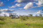 Safari till Karen Blixen Camp, Masai Mara & strandliv på Kinondo Kwetu, Kenya