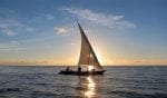 Dag 9-15.: kinondo-sailing