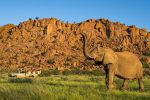 Namibia – Desert Safari, Swakopmund og Damaraland