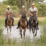 Ride safari Botswana