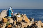 Ocean safari Grootbos: pic1487grootbos-whale-watching-south-africa-gansbaai-LR