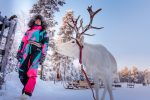 Day 4 Meet with Reindeer : reindeer adventure finland
