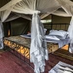 Campene: serengeti-camp-2
