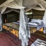 Campene: serengeti-camp-2