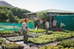 web-grootbos-foundation-green-futures-horticultural-30