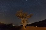 Star for objektet: bashar_alaeddin_stargazing_6