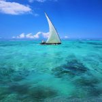 Pole Pole : mafia island sailing