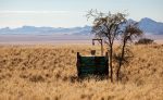 Safaridusch: Utedusch på safari