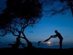 Ridning Kinondo Kwetu: kinondo-kwetu-yoga-meditation-2-galu-beach-diani-kenya.jpg.1024×0