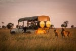 Safari life : Karen Blixen Camp dusk