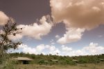 Wilderness Camp: Wilderness Camp