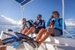 Dykning Alphonse: alphonse-experiences-scuba-diving-MvR-36