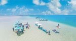 Alphonse Island aktiviteter: lunch on the sea