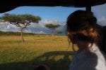 Dag 5. : game-drive-masai-mara-13-1000×667