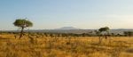 tarangire nationalpark panorama