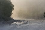 Aktiviteter: River in morning mist