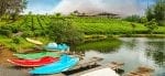 Bois Cheri aktiviteter: Panorama of Bois Cheri tea resort, Mauritius