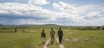 Vandringssafari: Att vandra med masaier är en annan dimension av safari i Kenya
