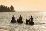 Ridning på stranden: swimming_with_horses_12