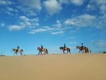 Rida på stranden: Upplev Essaouira på hästryggen