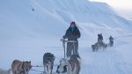 Dag 2. : Hundslädesafari på Svalbard