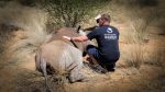 Upplevelser under din safari: volunteerwithwildlifebabyrhino