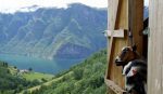 Omgivelsene i Aurland: Utsikt Över Aurland och fjorden