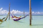 Dag 6. : Vila in en hammock Isla Holbox