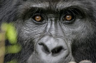 Rwanda