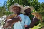 Aktiviteter på land: Möte med kameleonter Madagskar