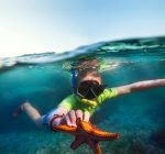 Dag 7. (31 okt 2025): Snorkling på Zanzibar