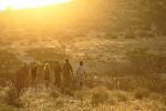Spore neshorn  : Rhino Tracking with the Sera Rangers and Samburu guides