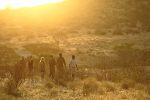 Spåra noshörningar : Rhino Tracking with the Sera Rangers and Samburu guides