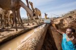 Safari i Sera Conservancy: Watering the camels at the singing wells 2 by Stuart Butler