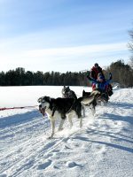 Safari med Huskies: Dog sledding in Alta Norway4