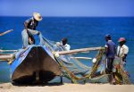 : Fishermen haulling their nets preparing fishing Kalkudah